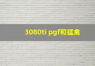 3080ti pgf和猛禽